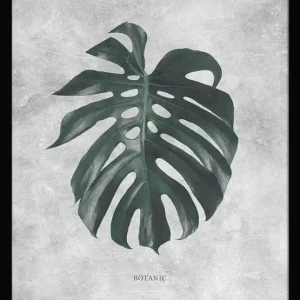 Populär Botanic 40X50 Svart - Hoei - Bonus Möbler