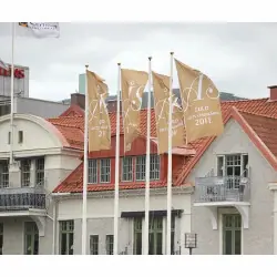 Flagga 150x300 cm stående - Digitaltryckt 115 g Trygg betalning