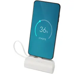 Alnair 5 000 mAh 10 W Type-C powerbank av återvunnen plast med inbyggt flipstativ och 2-i-1-kabel Populär