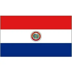 I lager Flagga Paraguay