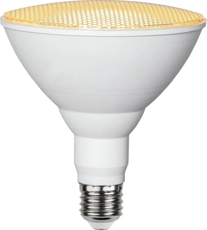 Snabb leverans E27 Växtlampa PAR38 16W 1700lm LED-Lampa