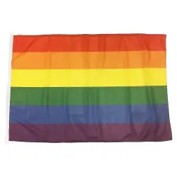 Extra rabatt Prideflagga 250cm
