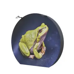 Begränsad tid Soft Wall 3-D Moon (rPET)