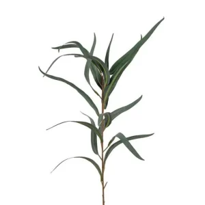 Fynd Eucalyptus 60 cm Grön - Mr Plant - Bonus Möbler