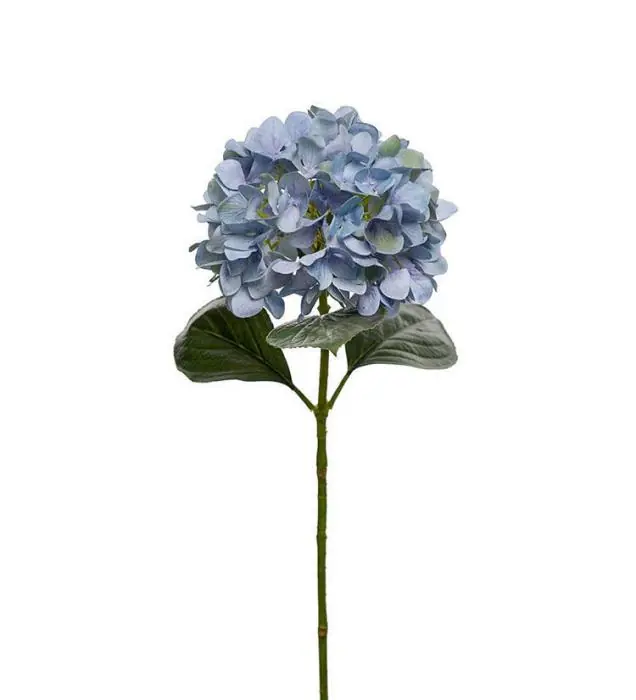 Hortensia 65 cm Blå - Mr Plant - Bonus Möbler Köp online
