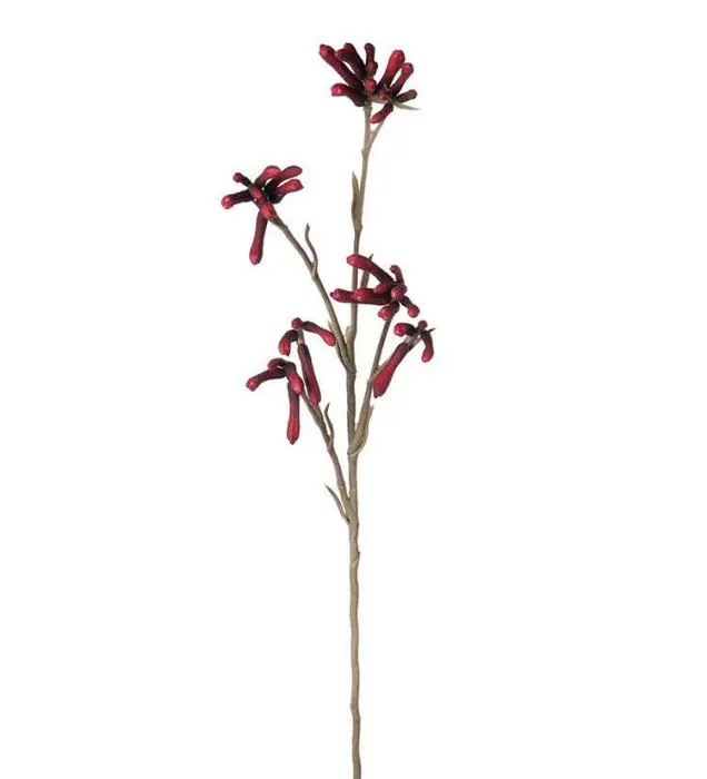Extra rabatt Kängurutass 65 cm Röd - Mr Plant - Bonus Möbler