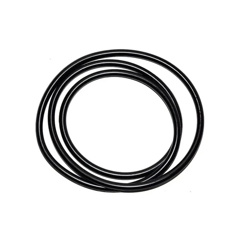 BIOCLEAR O-ring Behållare 20/30/40/80000 XL/PL Expressleverans