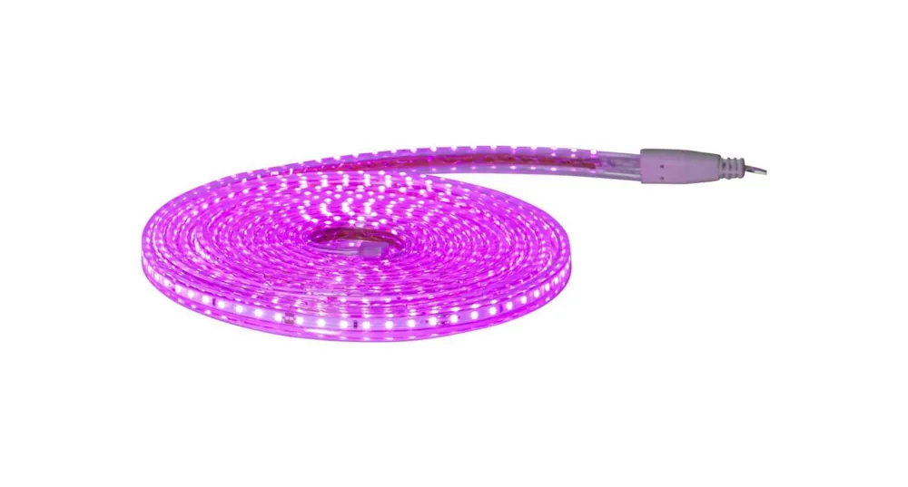 FLATSMDLED Ljusslang 5m 480LED Rosa/Transparent Fri frakt